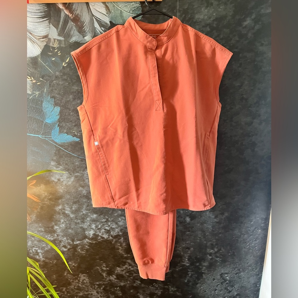 Figs Set in Terracotta